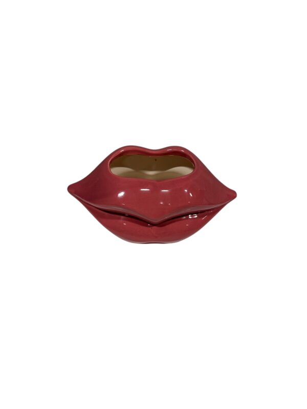 Vaasje lip - Roze - Afbeelding 2