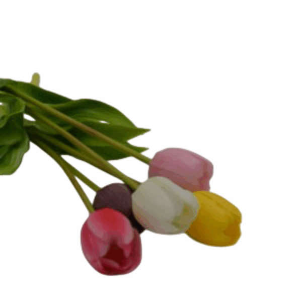 Homebound - Zijdebloem - Dichte tulpen - Verschillende Kleuren