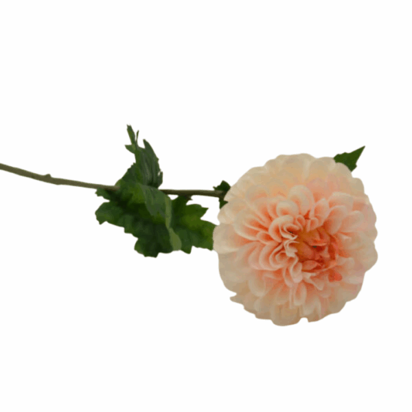 Homebound - zijdebloem - dahlia - licht roze