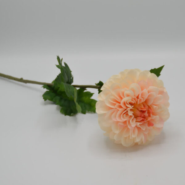 Homebound - zijdebloem - dahlia - licht roze