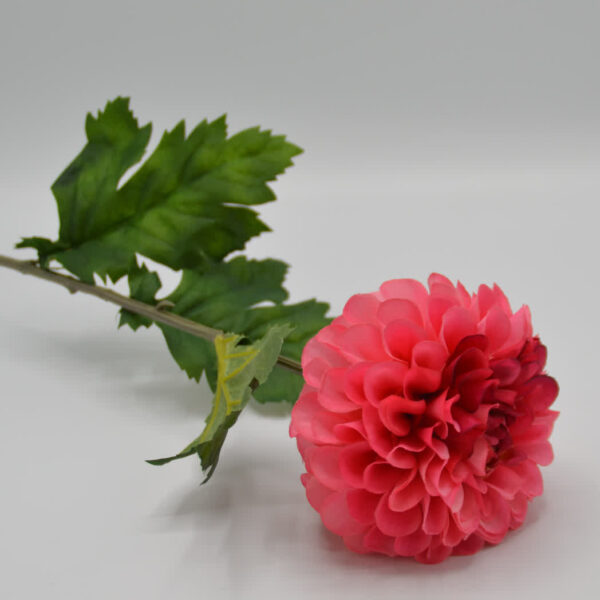 Homebound - Zijdebloem - Dahlia - Roze