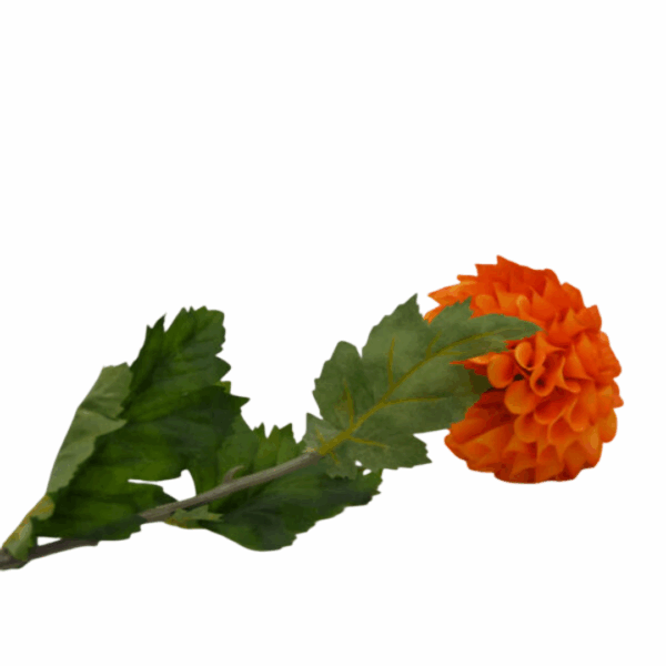 Homebound - Zijdebloem - Dahlia - Donker oranje