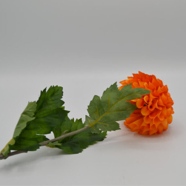 Homebound - Zijdebloem - Dahlia - Donker oranje