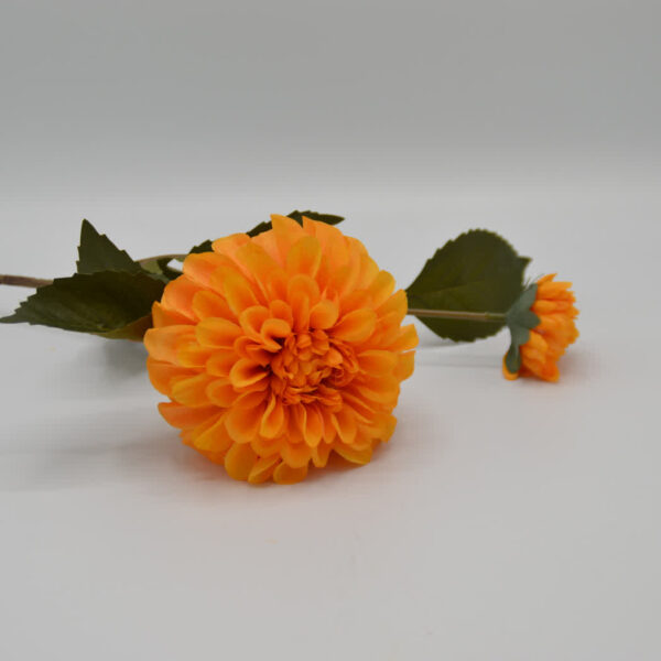 Homebound - Zijdebloem - Dahlia - Oranje