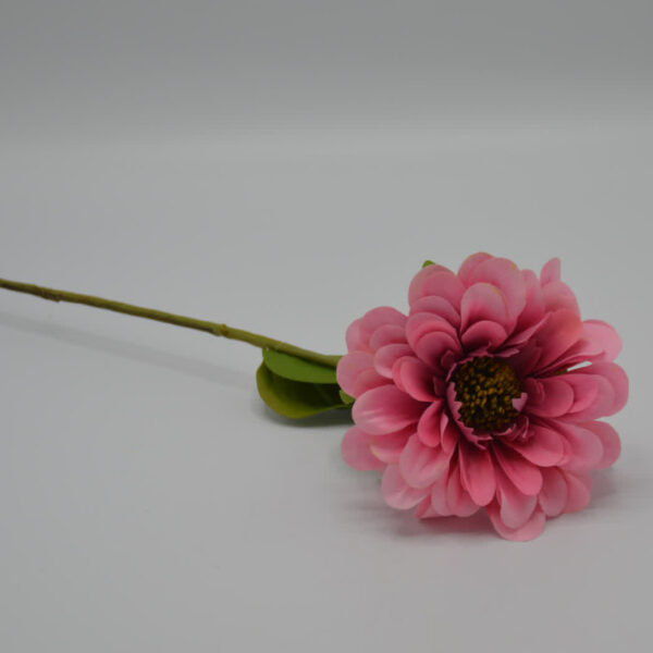 Homebound - Zijdebloem - Enkel - Roze