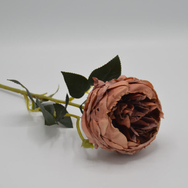 Homebound - zijdebloem - oude roos