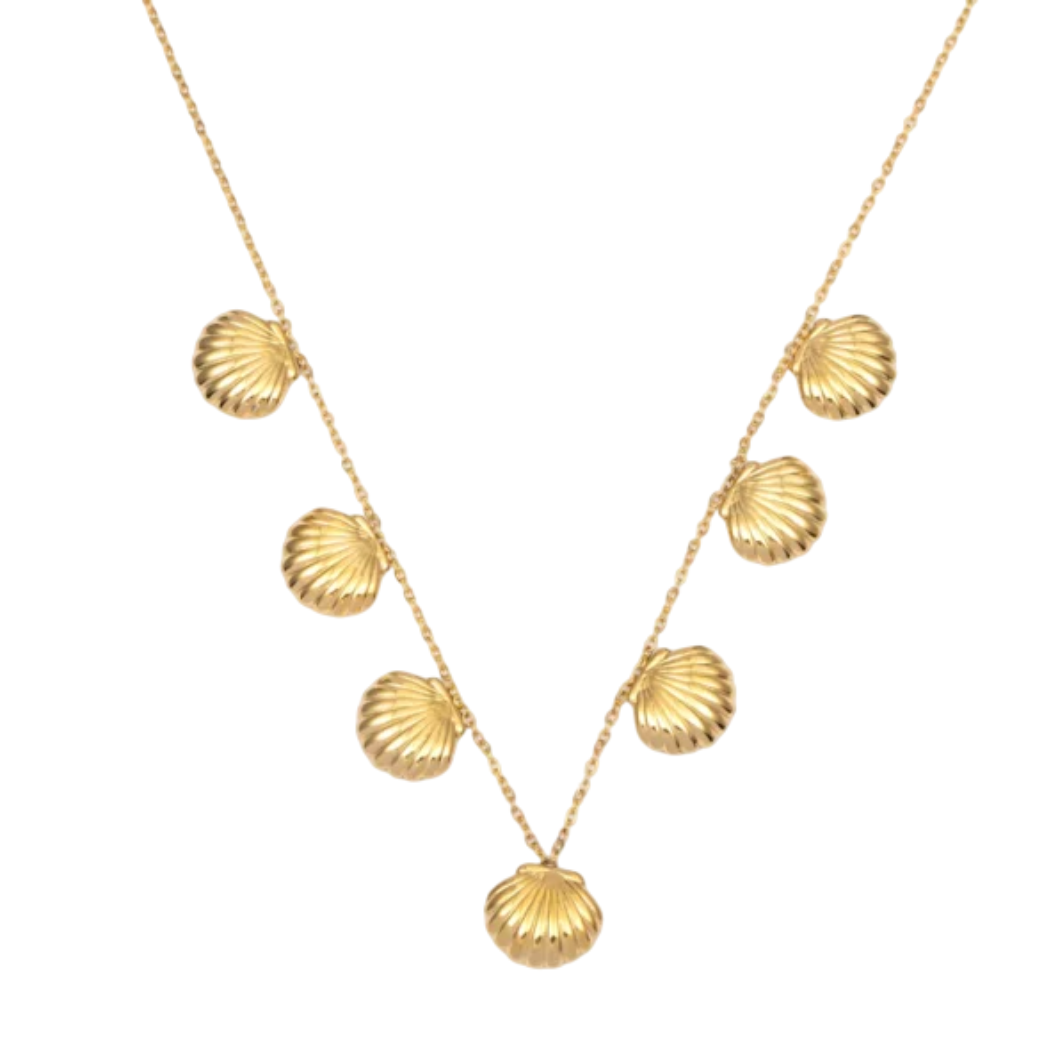 Wauw - Ketting - Schelpjes