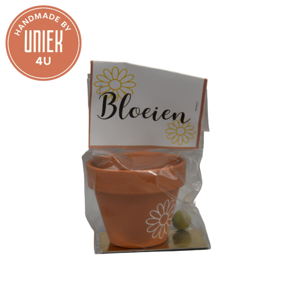 Uniek - bloempotsetje "Bloeien" - bruin