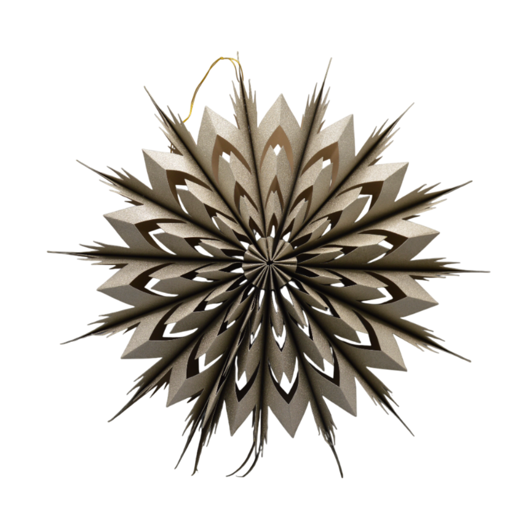 Dijk - Kerstster - Zilver