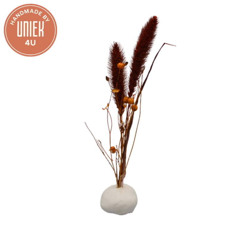 Uniek4U droogbloemen gips decoratie met natuurlijke uitstraling