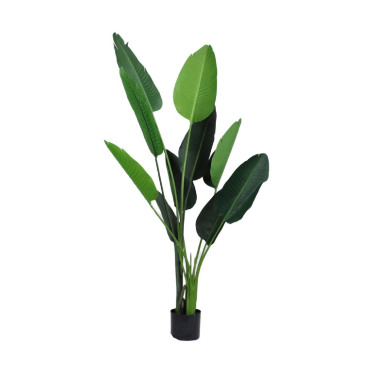 DIJK plant Strelitzia 90x80x155cm kunstplant interieur